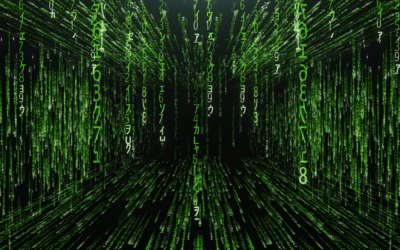 Decode Amazon’s Matrix: Your Assessment Test Success Blueprint